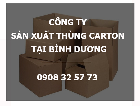 cong-ty-san-xuat-thung-carton-tai-binh-duong-dai-dien